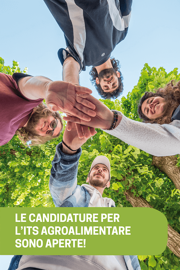 Candidatura 2023/2025 ITS Agro